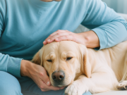 Предварительная консультация перед усыплением животного